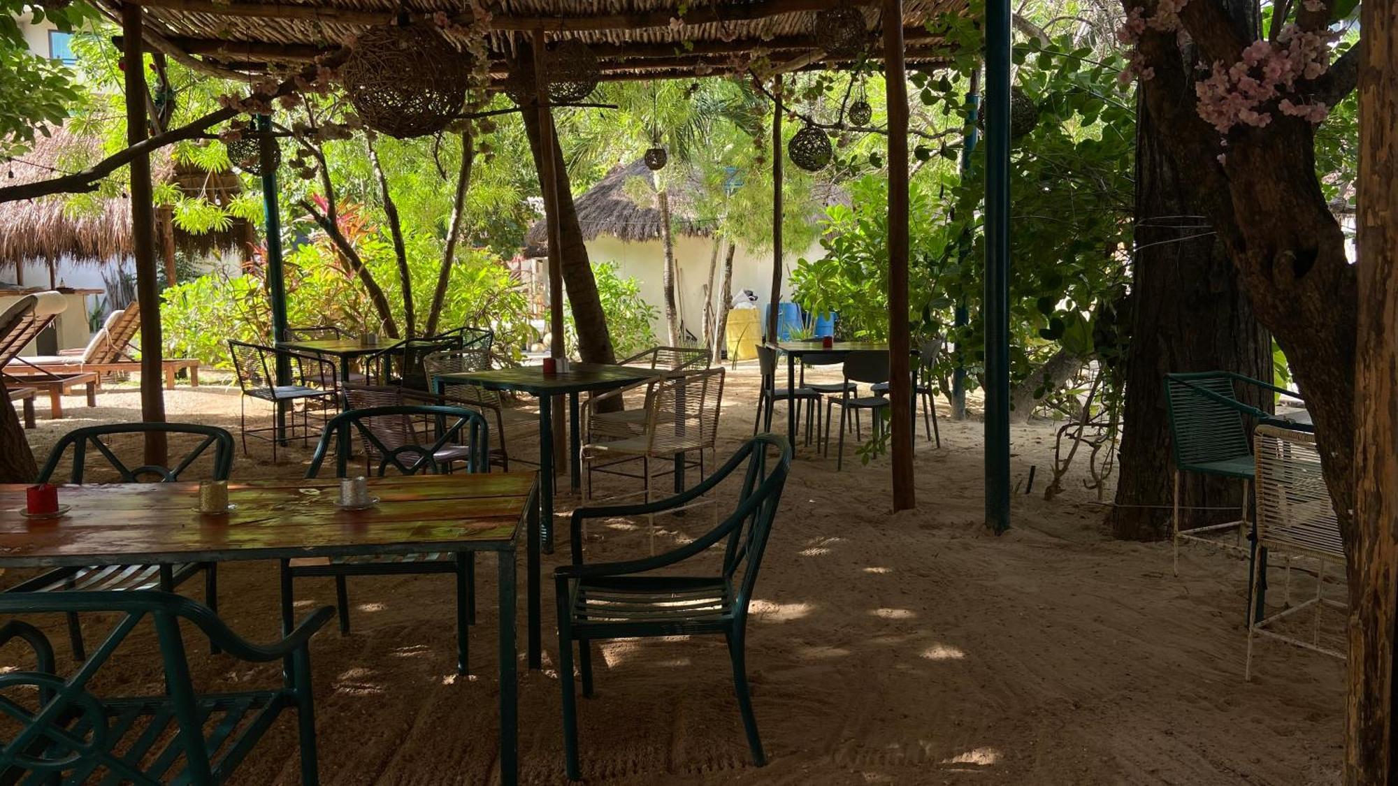 Nature Stay (Adults Only) Playa del Carmen Bagian luar foto