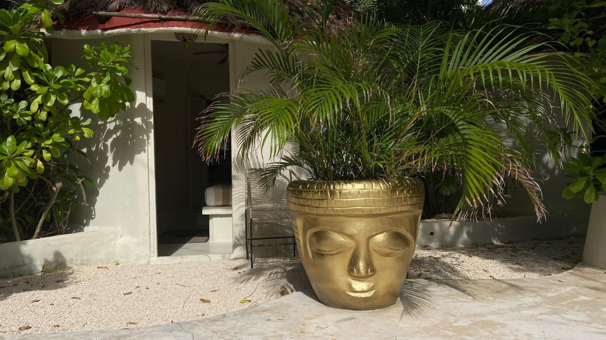 Nature Stay (Adults Only) Playa del Carmen Bagian luar foto