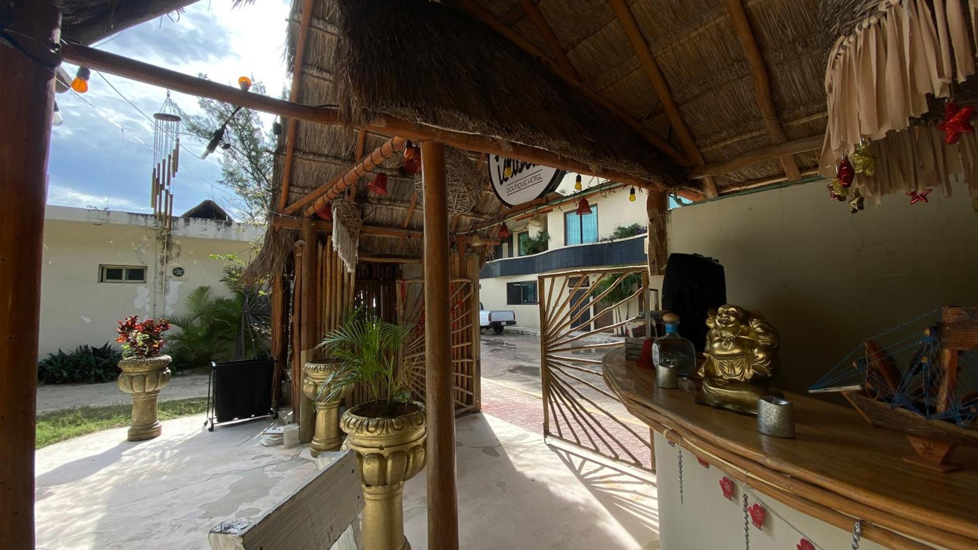 Nature Stay (Adults Only) Playa del Carmen Bagian luar foto